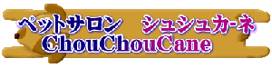 ybgT@VVJ]l    ChouChouCane